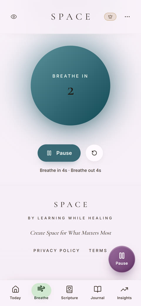 SPACE Breathe screen: a breathing circle that says Breathe in, 2